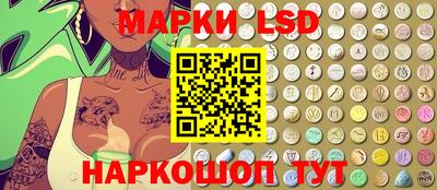 индика Жуковский