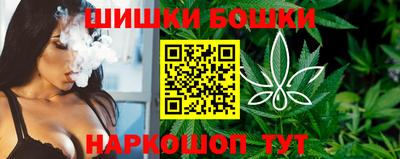 индика Жуковский