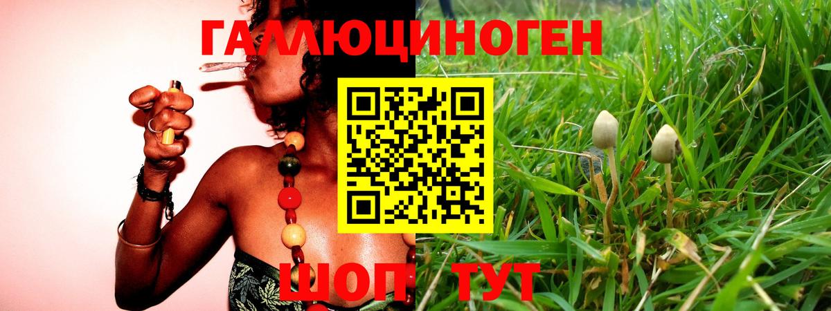 Галлюциногенные грибы GOLDEN TEACHER Жигулёвск
