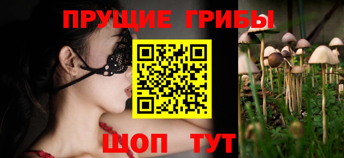 Жигулёвск  купить  цена  Вход с VPN  Псилоцибиновые грибы мицелий 